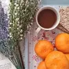 guten morgen dienstag seite