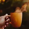 guten morgen donnerstag seite